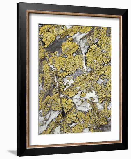 France, Dauphine, Hautes-Alpes, Le Rateau, Glacier-Thonig-Framed Photographic Print