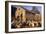 France Farmyard with Chickens-null-Framed Photographic Print