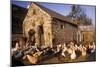 France Farmyard with Chickens-null-Mounted Photographic Print