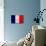 France Flag Design with Wood Patterning - Flags of the World Series-Philippe Hugonnard-Premium Giclee Print displayed on a wall