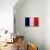 France Flag Design with Wood Patterning - Flags of the World Series-Philippe Hugonnard-Premium Giclee Print displayed on a wall