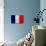 France Flag Design with Wood Patterning - Flags of the World Series-Philippe Hugonnard-Art Print displayed on a wall