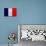 France Flag Design with Wood Patterning - Flags of the World Series-Philippe Hugonnard-Art Print displayed on a wall