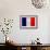 France Flag Design with Wood Patterning - Flags of the World Series-Philippe Hugonnard-Framed Art Print displayed on a wall