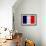 France Flag Design with Wood Patterning - Flags of the World Series-Philippe Hugonnard-Framed Art Print displayed on a wall