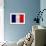 France Flag Design with Wood Patterning - Flags of the World Series-Philippe Hugonnard-Framed Art Print displayed on a wall