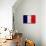 France Flag Design with Wood Patterning - Flags of the World Series-Philippe Hugonnard-Mounted Art Print displayed on a wall