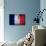 France Flag-kwasny221-Art Print displayed on a wall