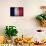 France Flag-kwasny221-Mounted Art Print displayed on a wall