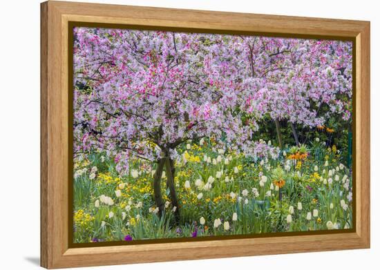 France, Giverny. Springtime in Claude Monet's Garden-Jaynes Gallery-Framed Premier Image Canvas