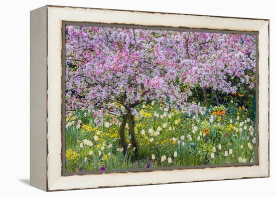 France, Giverny. Springtime in Claude Monet's Garden-Jaynes Gallery-Framed Premier Image Canvas