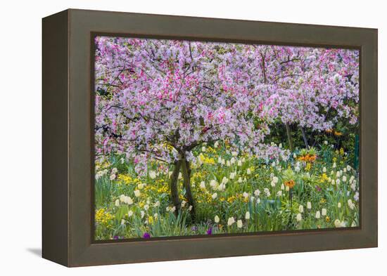 France, Giverny. Springtime in Claude Monet's Garden-Jaynes Gallery-Framed Premier Image Canvas