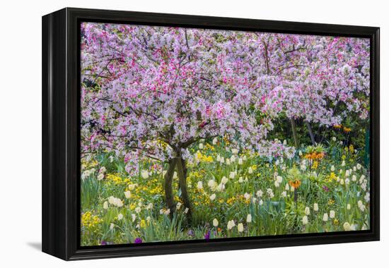 France, Giverny. Springtime in Claude Monet's Garden-Jaynes Gallery-Framed Premier Image Canvas