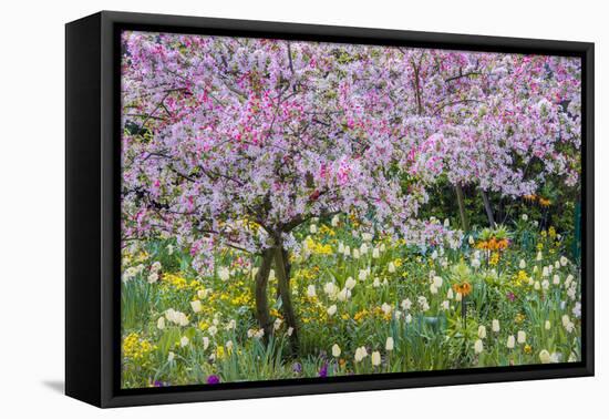 France, Giverny. Springtime in Claude Monet's Garden-Jaynes Gallery-Framed Premier Image Canvas