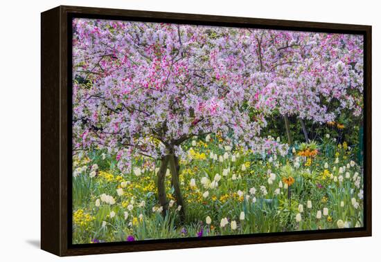 France, Giverny. Springtime in Claude Monet's Garden-Jaynes Gallery-Framed Premier Image Canvas