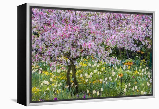 France, Giverny. Springtime in Claude Monet's Garden-Jaynes Gallery-Framed Premier Image Canvas