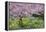 France, Giverny. Springtime in Claude Monet's Garden-Jaynes Gallery-Framed Premier Image Canvas