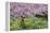 France, Giverny. Springtime in Claude Monet's Garden-Jaynes Gallery-Framed Premier Image Canvas