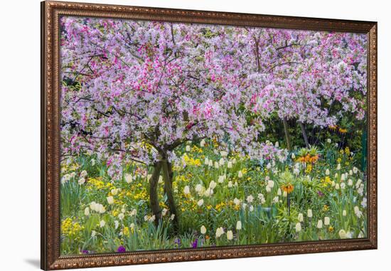 France, Giverny. Springtime in Claude Monet's Garden-Jaynes Gallery-Framed Photographic Print