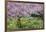 France, Giverny. Springtime in Claude Monet's Garden-Jaynes Gallery-Framed Photographic Print