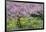 France, Giverny. Springtime in Claude Monet's Garden-Jaynes Gallery-Framed Photographic Print