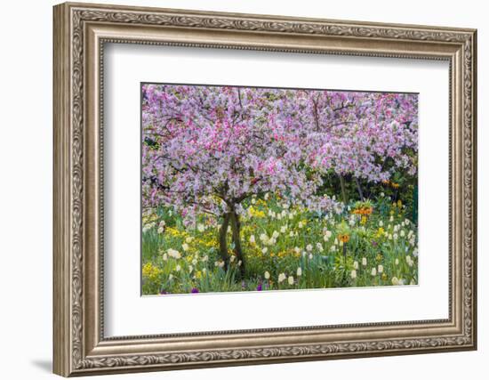 France, Giverny. Springtime in Claude Monet's Garden-Jaynes Gallery-Framed Photographic Print