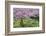 France, Giverny. Springtime in Claude Monet's Garden-Jaynes Gallery-Framed Photographic Print