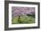 France, Giverny. Springtime in Claude Monet's Garden-Jaynes Gallery-Framed Photographic Print