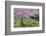 France, Giverny. Springtime in Claude Monet's Garden-Jaynes Gallery-Framed Photographic Print