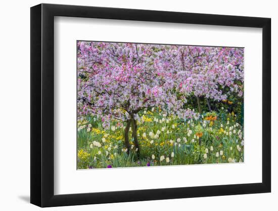 France, Giverny. Springtime in Claude Monet's Garden-Jaynes Gallery-Framed Photographic Print