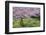 France, Giverny. Springtime in Claude Monet's Garden-Jaynes Gallery-Framed Photographic Print