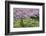 France, Giverny. Springtime in Claude Monet's Garden-Jaynes Gallery-Framed Photographic Print