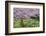 France, Giverny. Springtime in Claude Monet's Garden-Jaynes Gallery-Framed Photographic Print