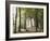 France, Haute-Savoie, Forest, Church Ruin, Near Chamonix-Thonig-Framed Photographic Print