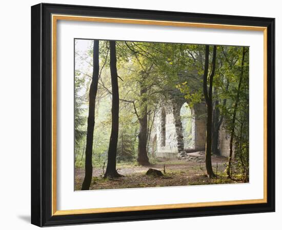 France, Haute-Savoie, Forest, Church Ruin, Near Chamonix-Thonig-Framed Photographic Print