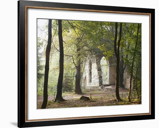 France, Haute-Savoie, Forest, Church Ruin, Near Chamonix-Thonig-Framed Photographic Print