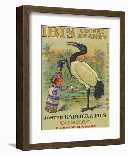 France - Ibis Cognac-Lantern Press-Framed Art Print