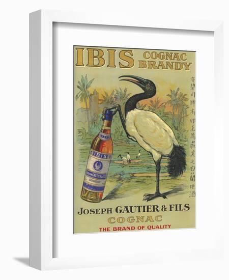 France - Ibis Cognac-Lantern Press-Framed Art Print