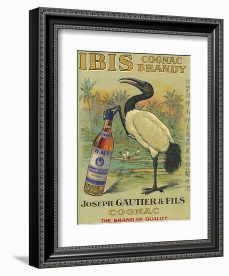 France - Ibis Cognac-Lantern Press-Framed Art Print