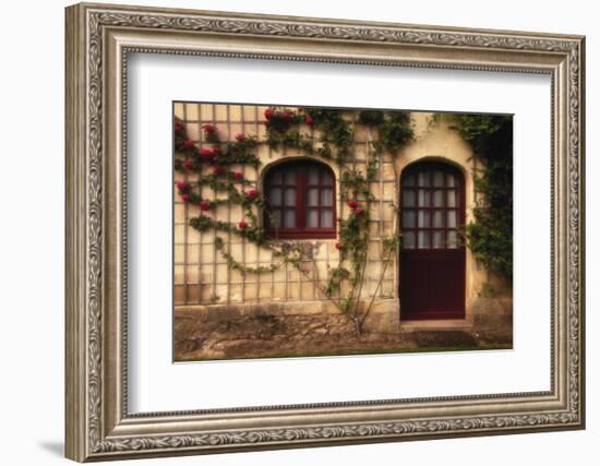 France, Indre-Et-Loire, Loire Valley, Chateau De Chenonceau, Doorway-Walter Bibikow-Framed Photographic Print