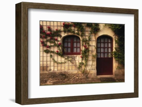 France, Indre-Et-Loire, Loire Valley, Chateau De Chenonceau, Doorway-Walter Bibikow-Framed Photographic Print