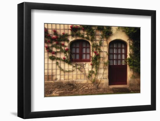 France, Indre-Et-Loire, Loire Valley, Chateau De Chenonceau, Doorway-Walter Bibikow-Framed Photographic Print