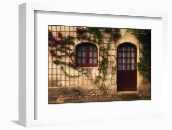 France, Indre-Et-Loire, Loire Valley, Chateau De Chenonceau, Doorway-Walter Bibikow-Framed Photographic Print