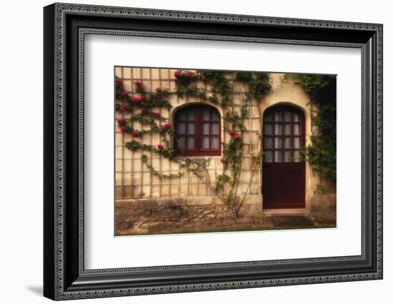 France, Indre-Et-Loire, Loire Valley, Chateau De Chenonceau, Doorway-Walter Bibikow-Framed Photographic Print