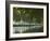 France, Languedoc-Rousillon, Canal Du Midi-Katie Garrod-Framed Photographic Print