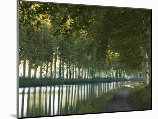 France, Languedoc-Rousillon, Canal Du Midi-Katie Garrod-Mounted Photographic Print