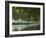 France, Languedoc-Rousillon, Canal Du Midi-Katie Garrod-Framed Photographic Print