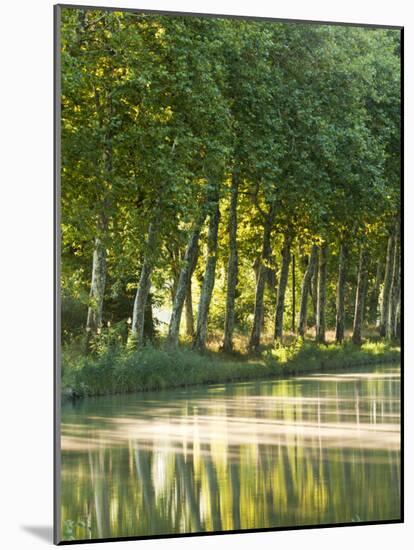 France, Languedoc-Rousillon, Canal Du Midi-Katie Garrod-Mounted Photographic Print