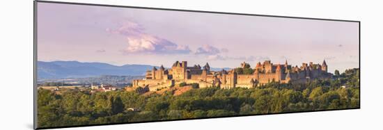 France, Languedoc-Roussillon, Aude, Carcassonne-Matteo Colombo-Mounted Photographic Print