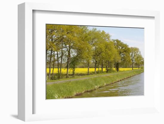 France, Loire. Mustard Fields Along the Banks of Canal Lateral-Kevin Oke-Framed Photographic Print